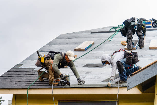 Professional Roof Replacement technician working in Bluffton, MN